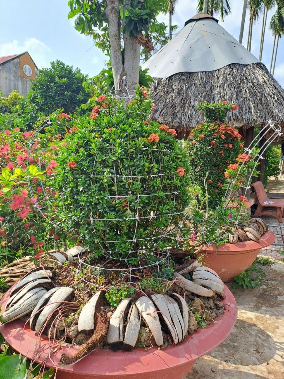 Ngoc Phuong Homestay Vinh Long Exterior photo